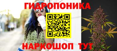 шишки Усть-Джегута