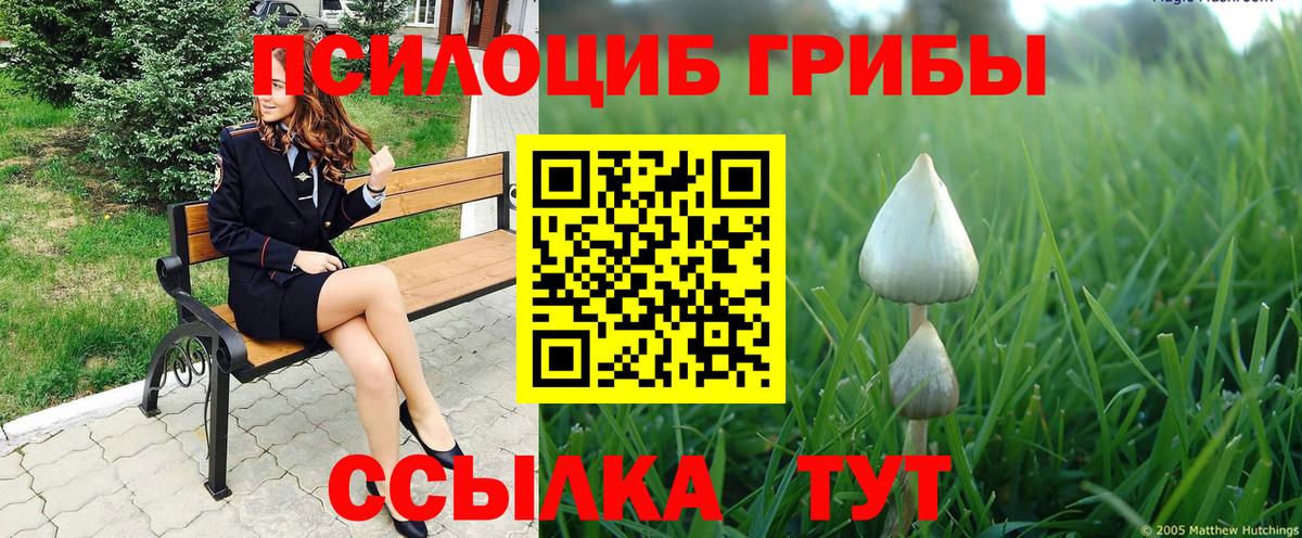Галлюциногенные грибы мицелий Чернушка