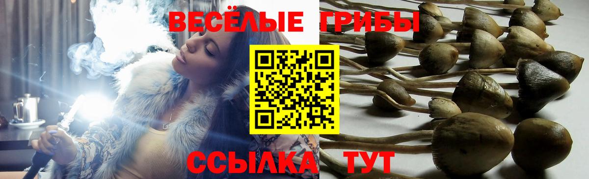 Псилоцибиновые грибы Magic Shrooms  Вход с VPN  Чернушка 